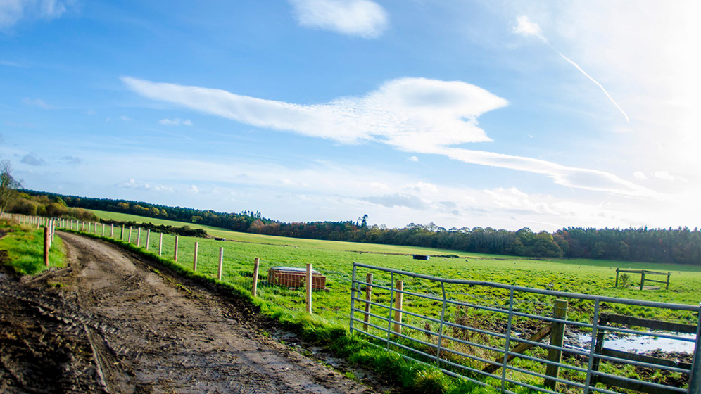 Green fields on Cockle Park Farm
